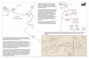 kin45 gulf carpentaria_thumb.gif